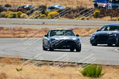 media/Nov-16-2024-Extreme Speed (Sat) [[6587d07cc4]]/Gold Group/Session 2 (Turns 3 and 5)/